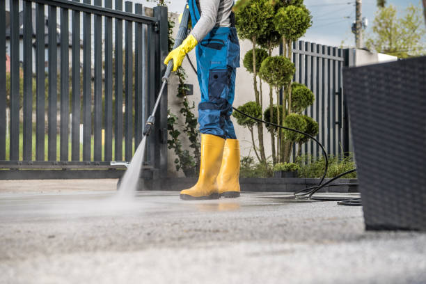 Best Local Pressure Washing Services  in Clarkesville, GA